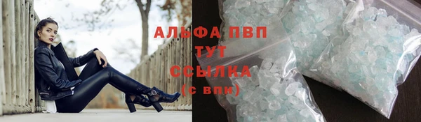 ПСИЛОЦИБИНОВЫЕ ГРИБЫ Абаза