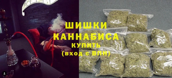 ПСИЛОЦИБИНОВЫЕ ГРИБЫ Абаза