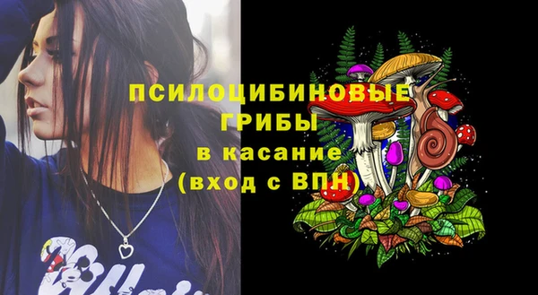 ПСИЛОЦИБИНОВЫЕ ГРИБЫ Абаза