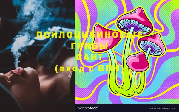ПСИЛОЦИБИНОВЫЕ ГРИБЫ Абаза