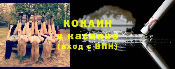 ПСИЛОЦИБИНОВЫЕ ГРИБЫ Абаза