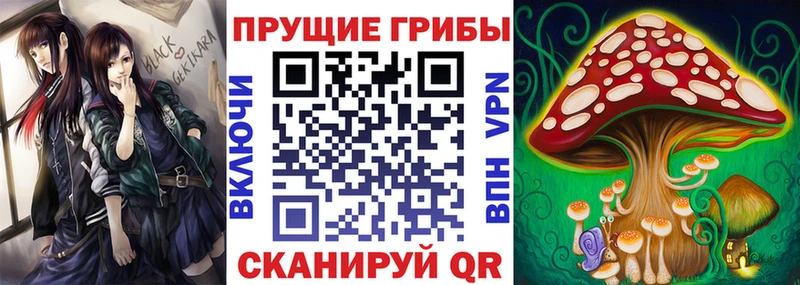 Галлюциногенные грибы Psilocybe сколько стоит Красный Сулин