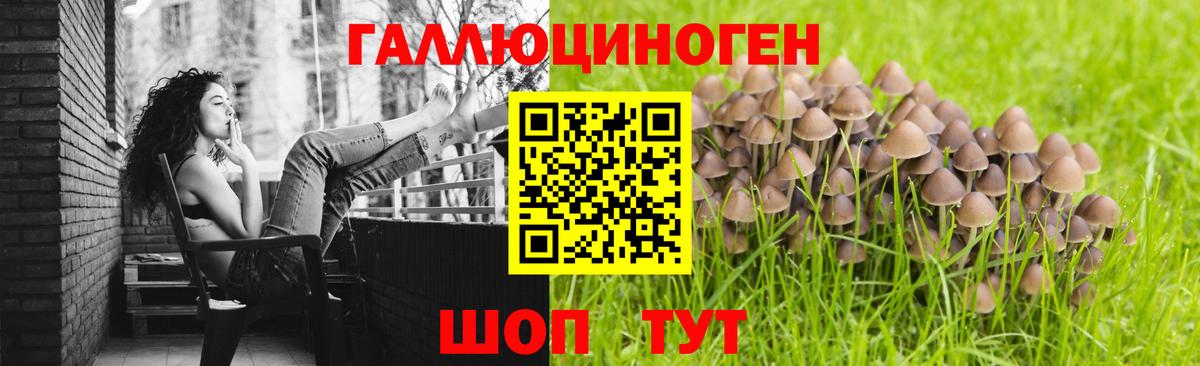 Псилоцибиновые грибы MAGIC MUSHROOMS Красный Сулин